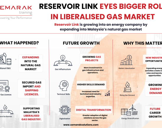 Week 4 - Reservoir Link eyes bigger role in liberalised gas market